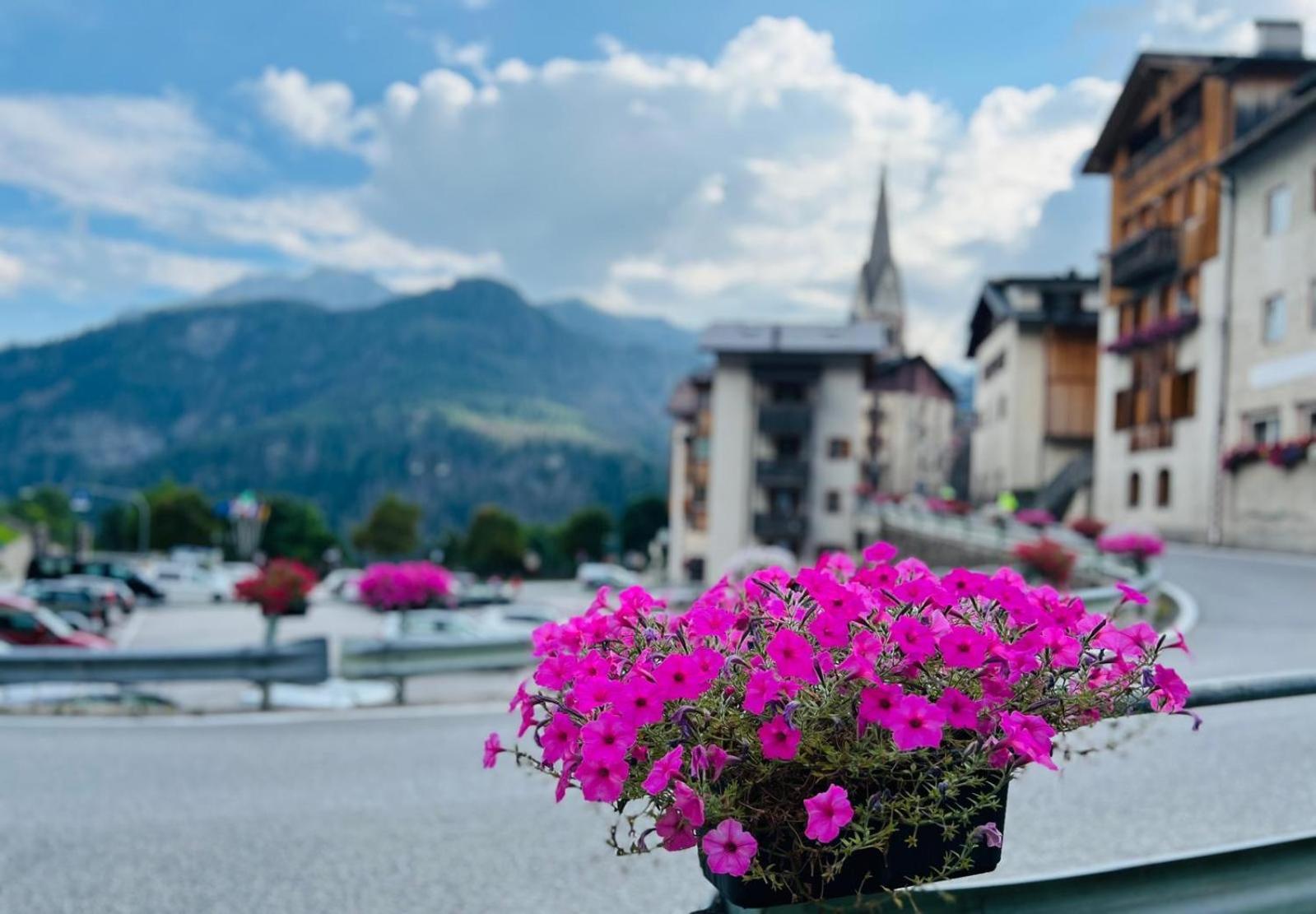 My Dolomites Apartment